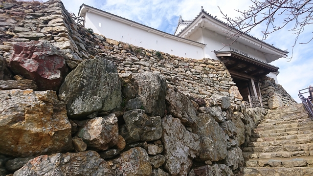 浜松城石垣