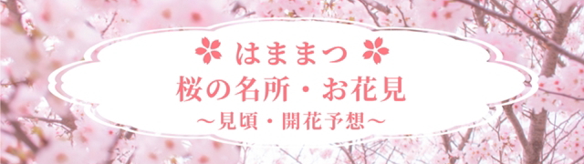 2024年 浜松市 お花見・桜の名所 ～見頃・開花予想～