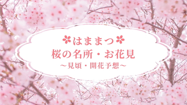 浜松市 桜の名所・お花見 ～見頃・開花予想～