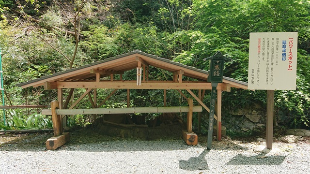 方広寺 延命半僧杉