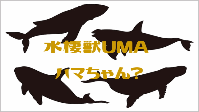 浜名湖 未確認水棲生物 水棲獣UMA ハマちゃん